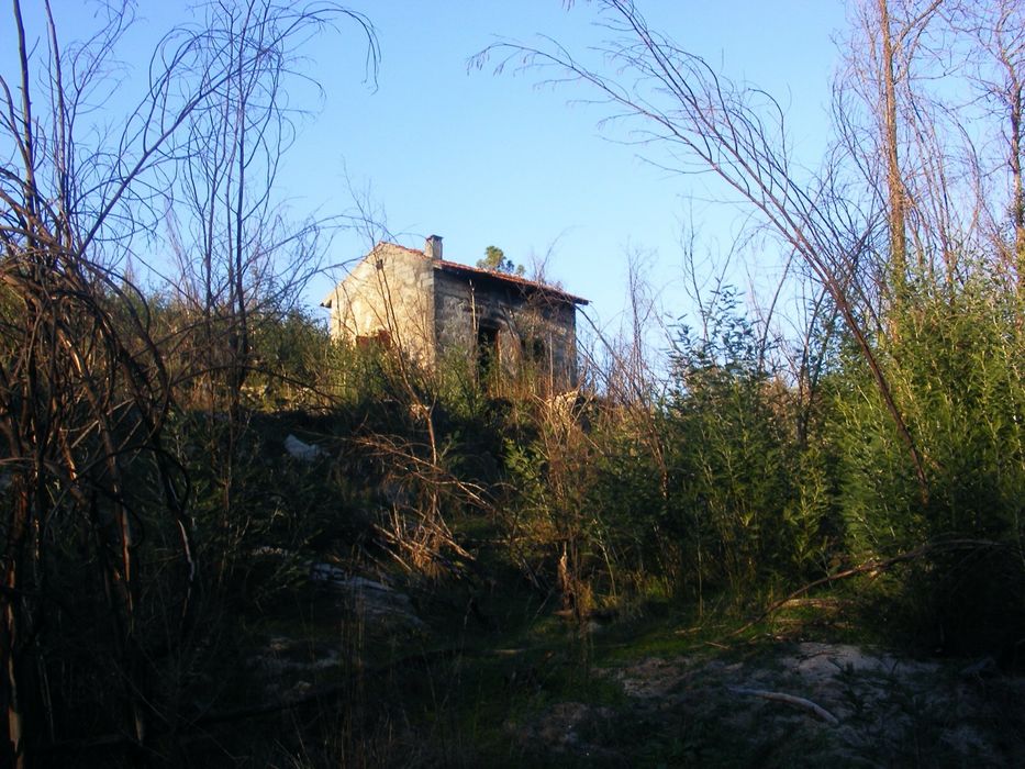 Arrenda-se Quinta Exclusiva 25ha | 1km margem de Rio Mondego