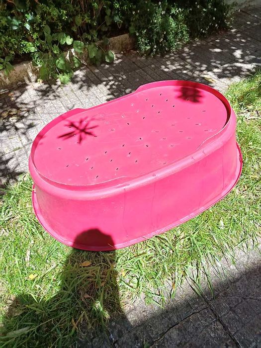 Cama de Cão Grande Vermelha