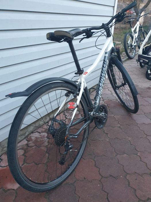 Rower Specialized Ariel