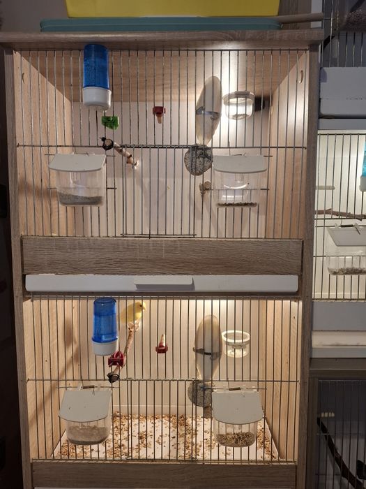 Trzy regały dla ptaków, akcesoria, karma