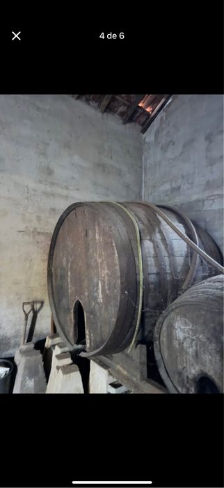 3 pipas antigas de adega em madeira