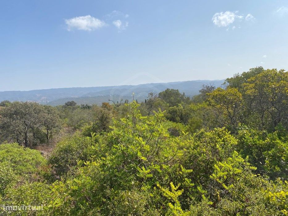 Lote de Terreno Rústico no Serro dos Passarinhos, Loulé, Algarve