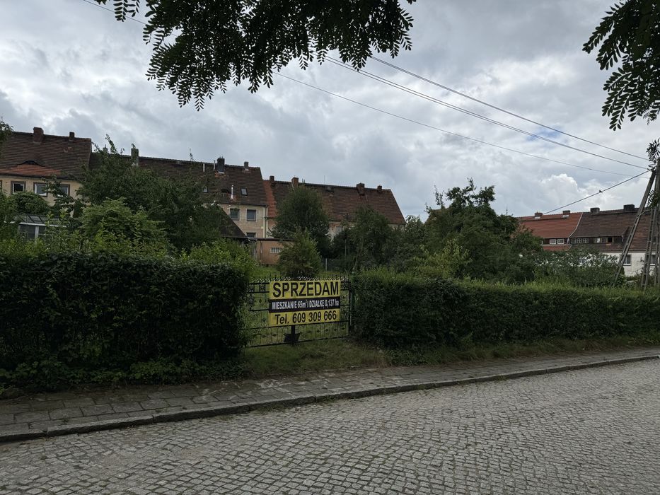 Zdjęcie 8