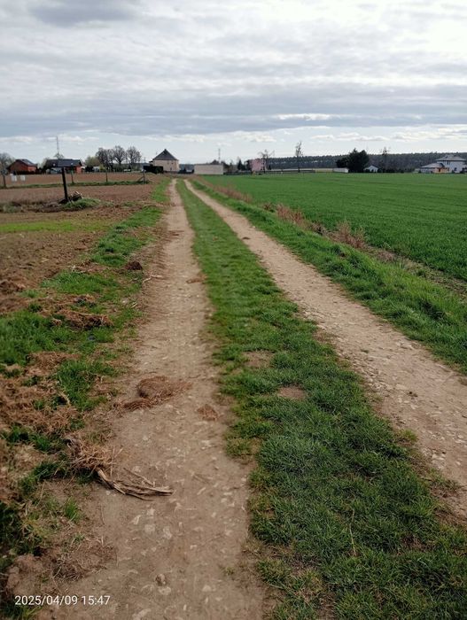 Działka 12,58a Niewodniki