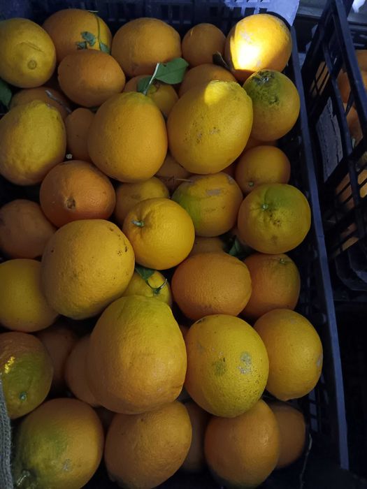 Frutas do Poceirão (faço entregas também)