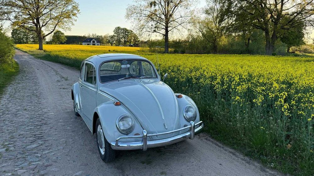 VW Garbus 1966 r.