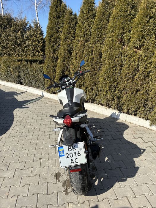 Benelli tnt 250 2016