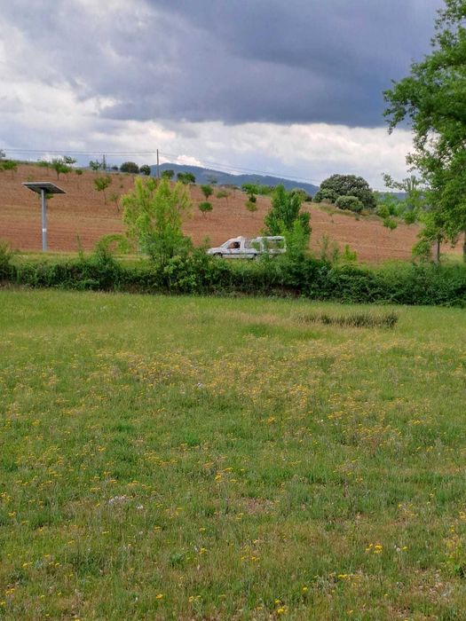 Terreno para venda em Baçal com 1,5 hectares - Bragança