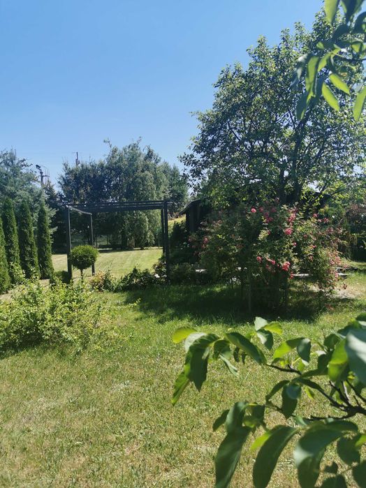 Działka ROD Huta Stara B, 700m2