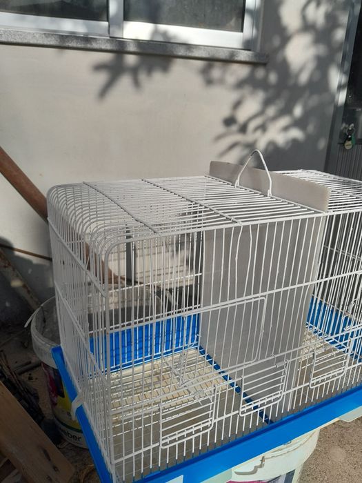 gaiolas grande usada