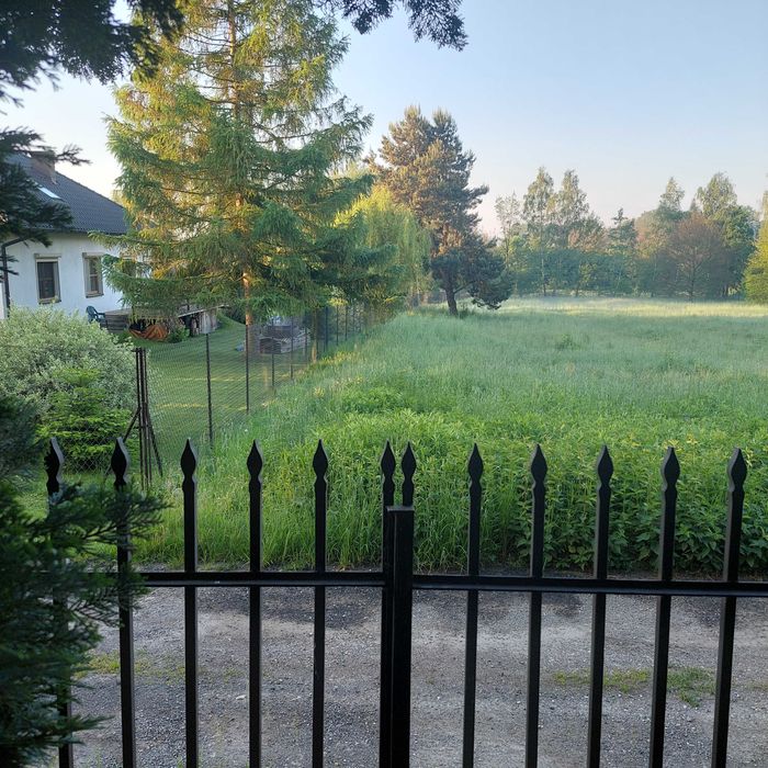 Wydzierżawię Urokliwą działkę Budowlaną Wołowice 50 m od lasu - Idealną na rodzinny wypoczynek,ogród,pasiekę lub rekreację