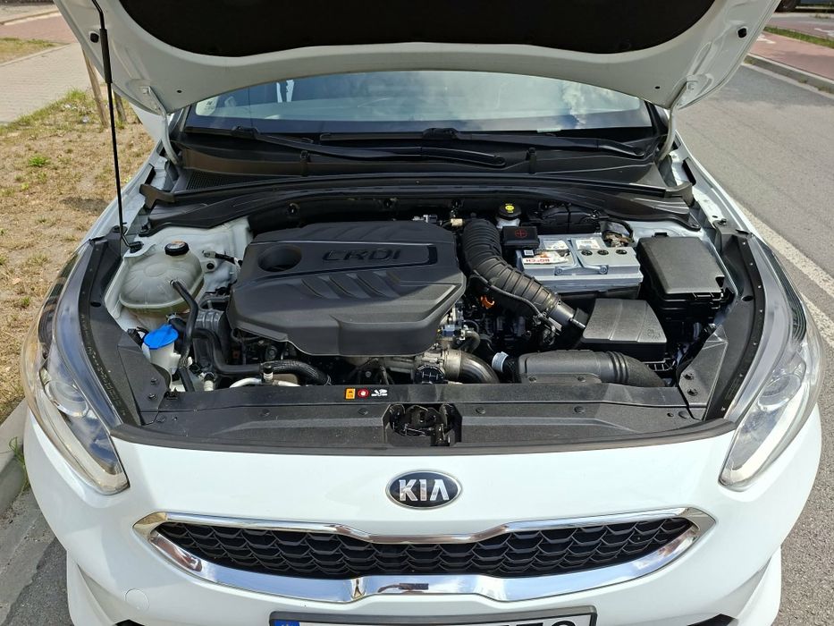 Kia Ceed Salon Polska