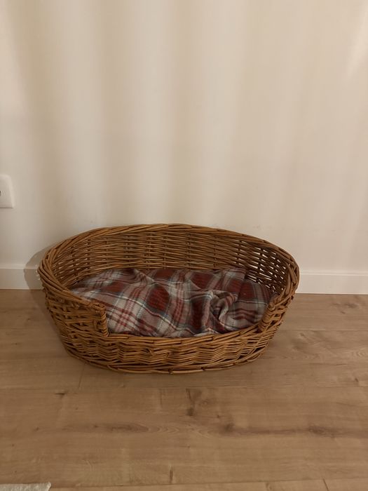 Cama gato ou cao