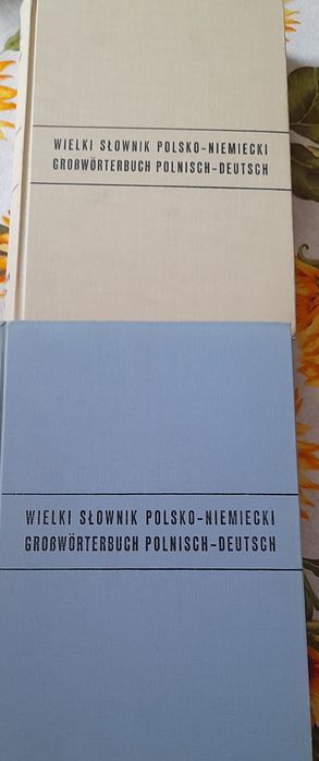 Wielki Słownik Polsko-Niemiecki