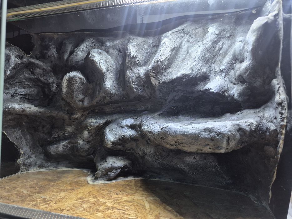 Terarium dla węża  60x45x40  Kraków