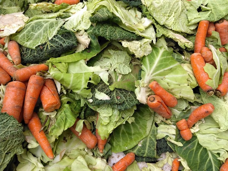 Folhas de couve para animais