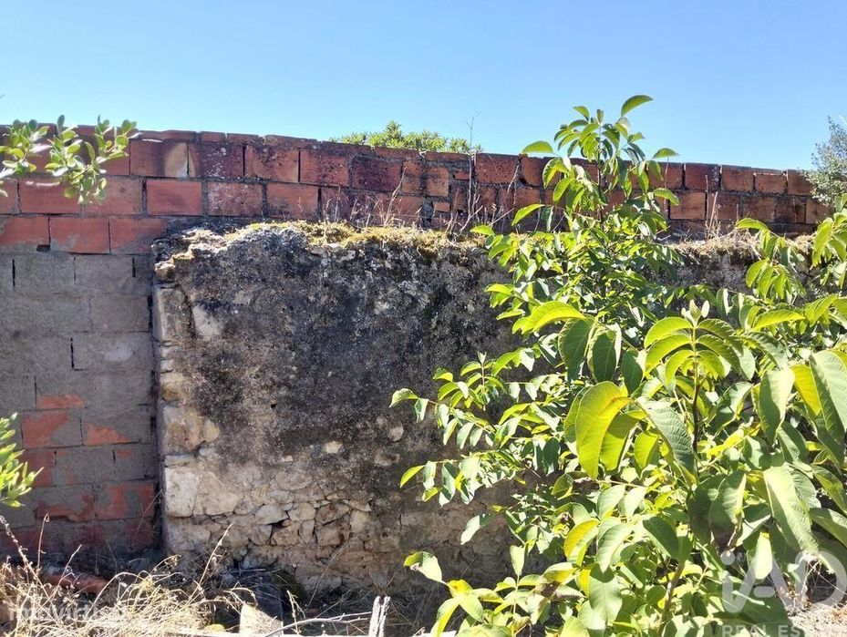 Casa de Campo em Brogueira, Parceiros de Igreja e Alcorochel