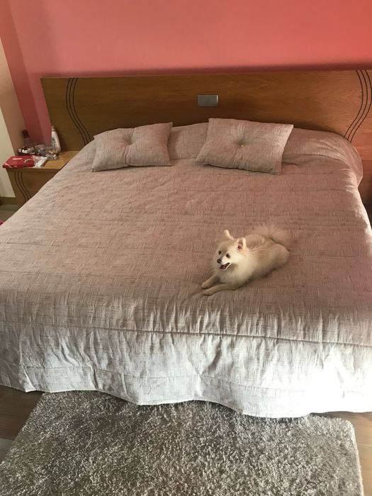 Cama de casal ou de solteiro