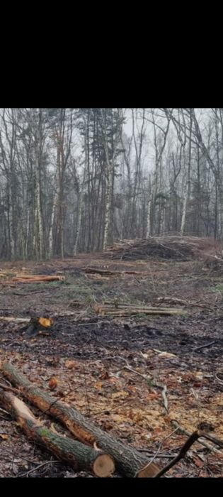 Czyszczenie działki