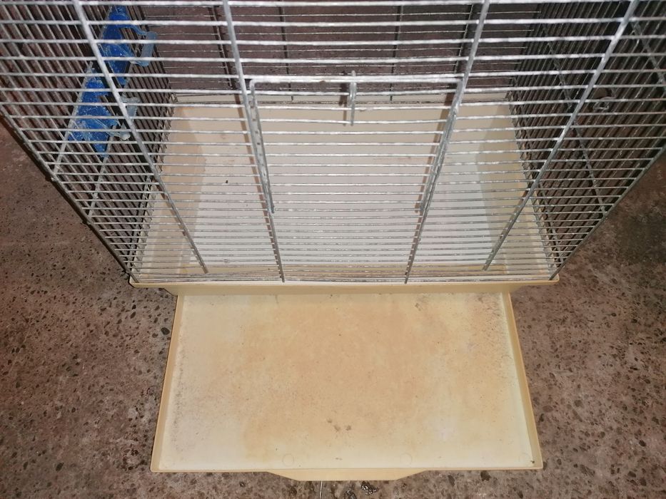 Klatka dla ptaków kanarka papugi