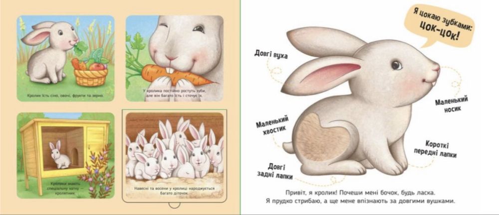 Книга з тактильними елементами На фермі