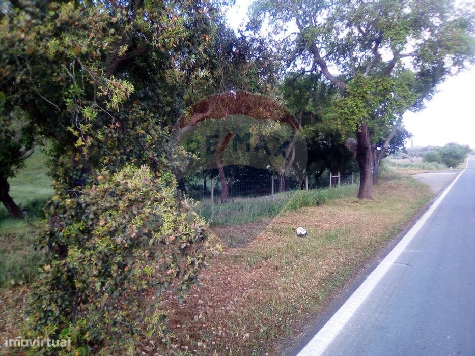Terreno  para venda