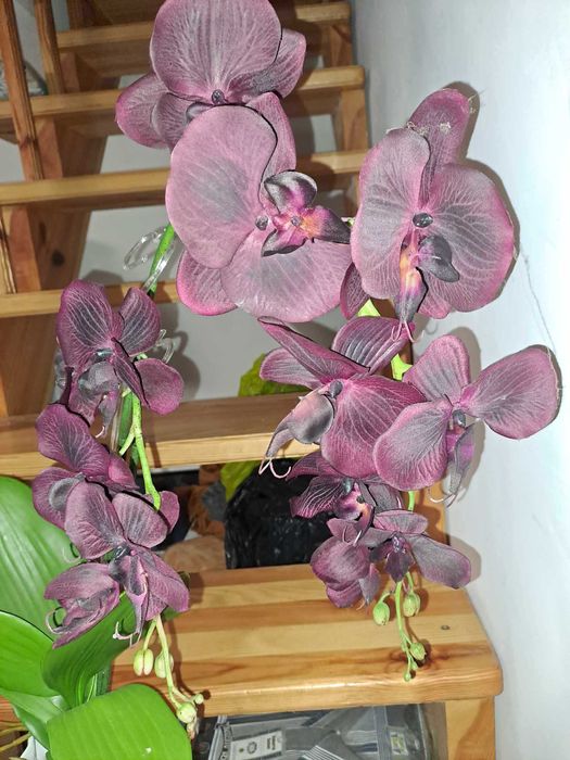 FEJKA Sztuczna roślina doniczkowa, Orchidea fioletowa storczyk 80 cm