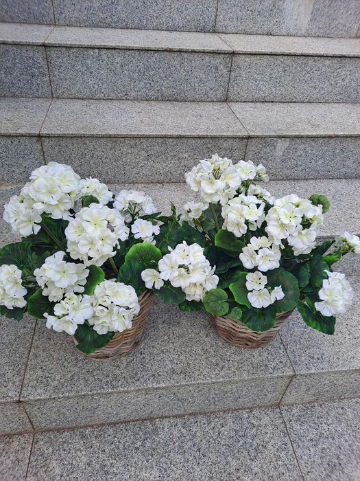 2szt. Pelargonie sztuczne w koszyku.