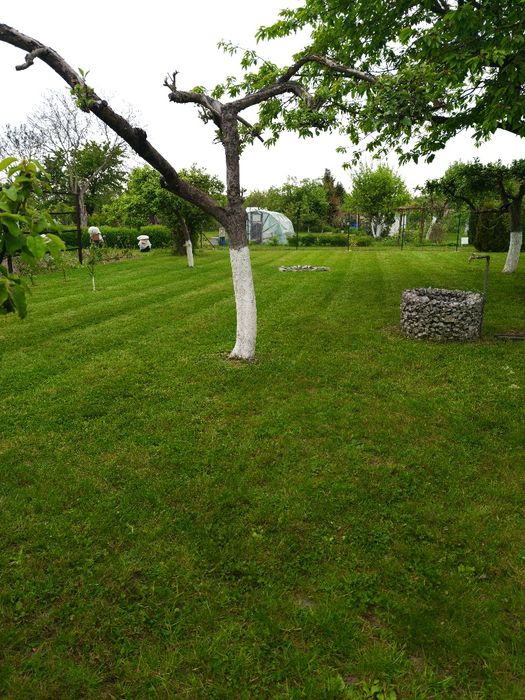 Działka ROD Bolesławiec