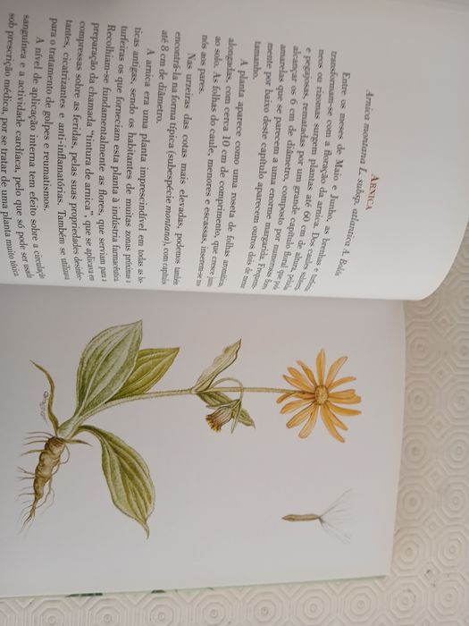Plantas Medicinais do Norte de Portugal e Galiza