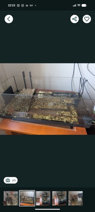 Terrário com filtro e termostato