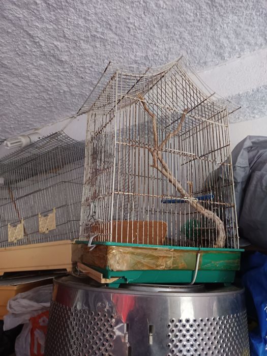 Vendo gaiola para pássaros