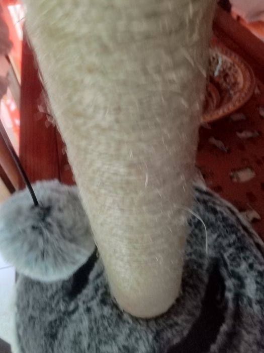 Arranhador para gatos