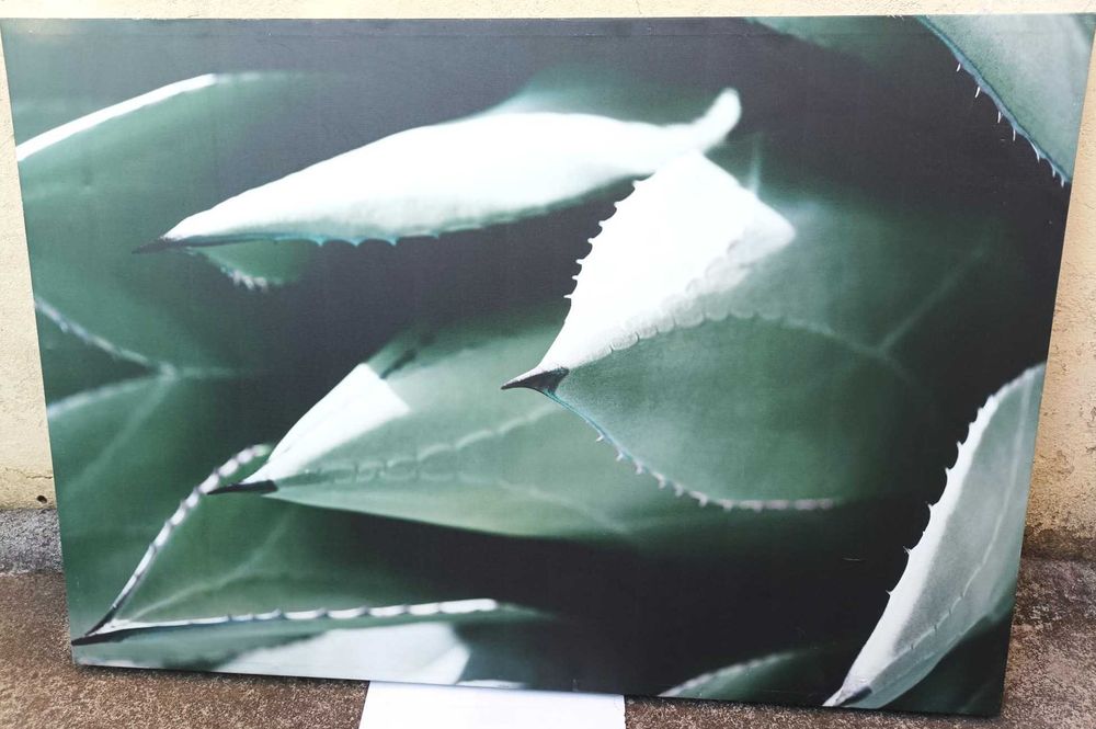 tela impressa com 120x80 cm