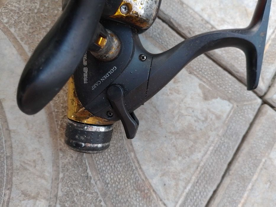 Карповика Golden Carp