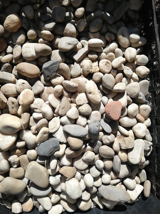 Gogos - Pedras de rio