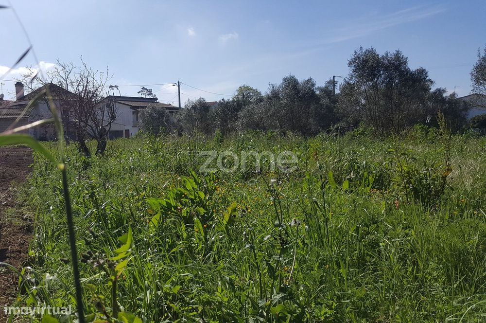 Terreno urbanizável em Milagres