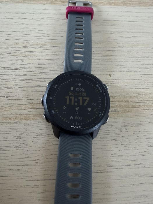 Garmin forerunner 245