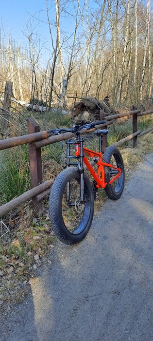 Rower    fatbike