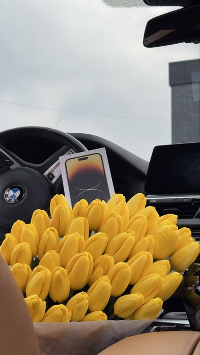 Тюлпан великий український Бровари опт