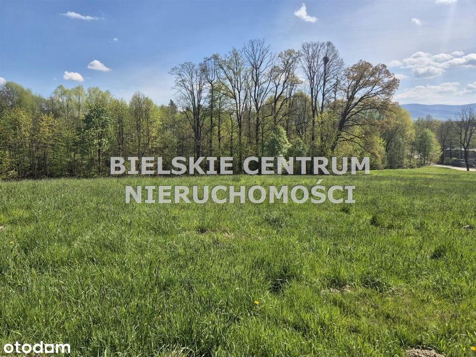 Działka, Mazańcowice