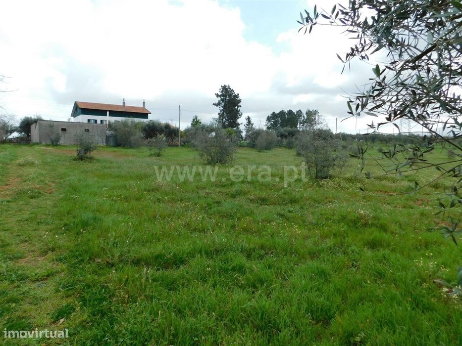 Terreno / Seia, Sameice e Santa Eulália