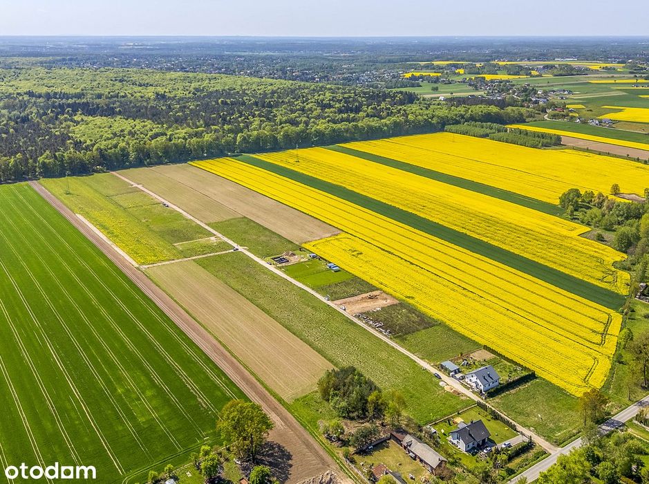 Działka budowlana, Widzew Nowosolna Andrespol Łódź 5 min
