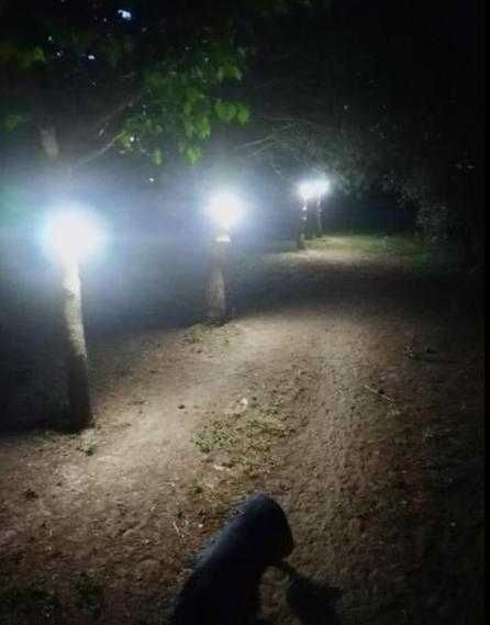 Candeeiro solar 100 Leds