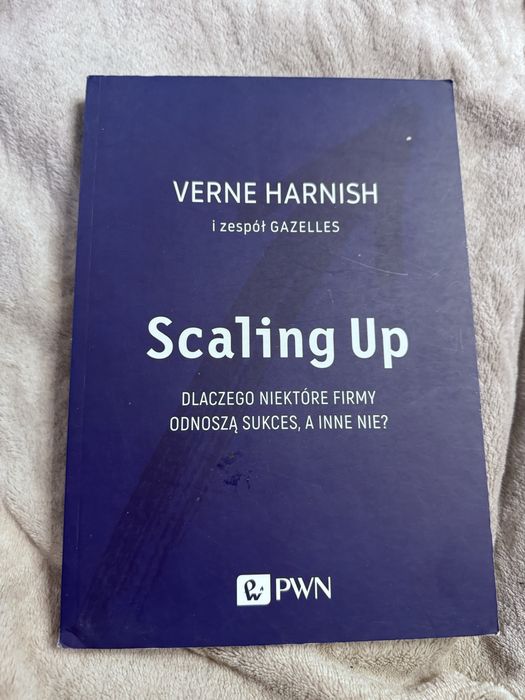 Scaling up ksiazka