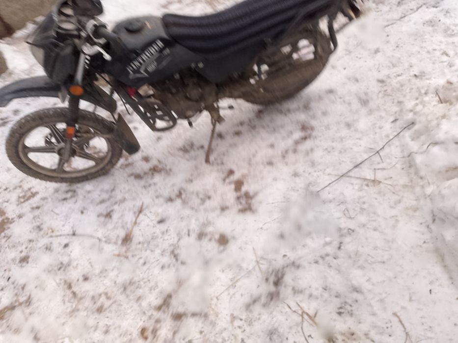 Продам шенрай Інтрундер 200