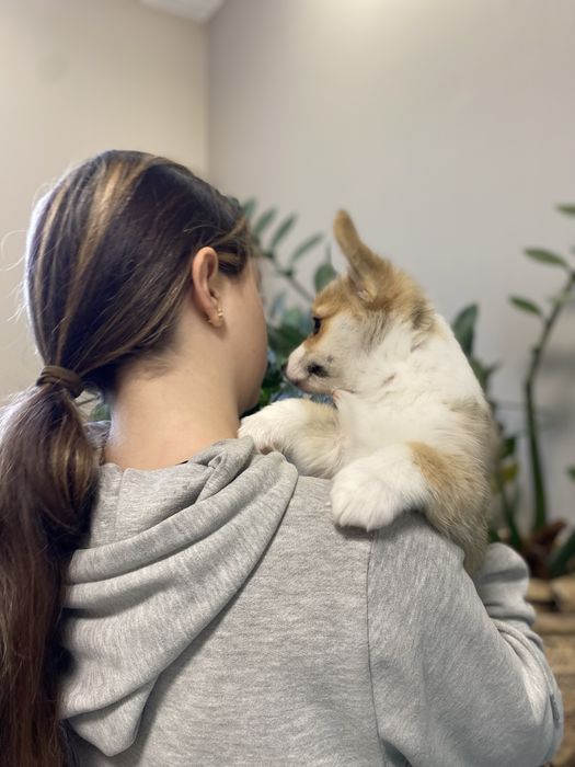 Корженята, хлопчики і дівчатка