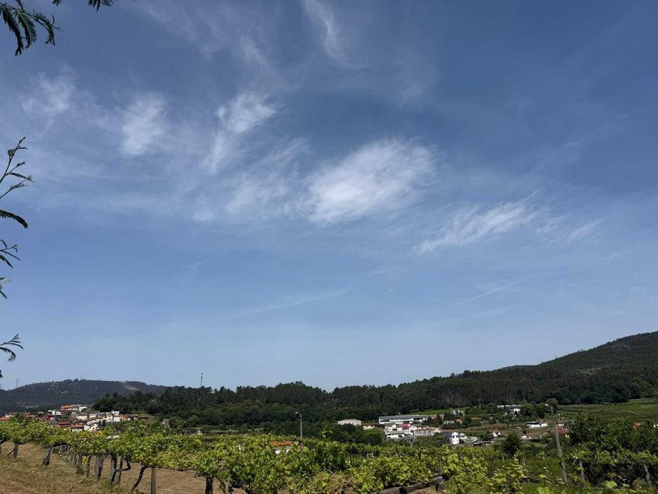 Terreno Venda - Vale de Cambra (Penedos)