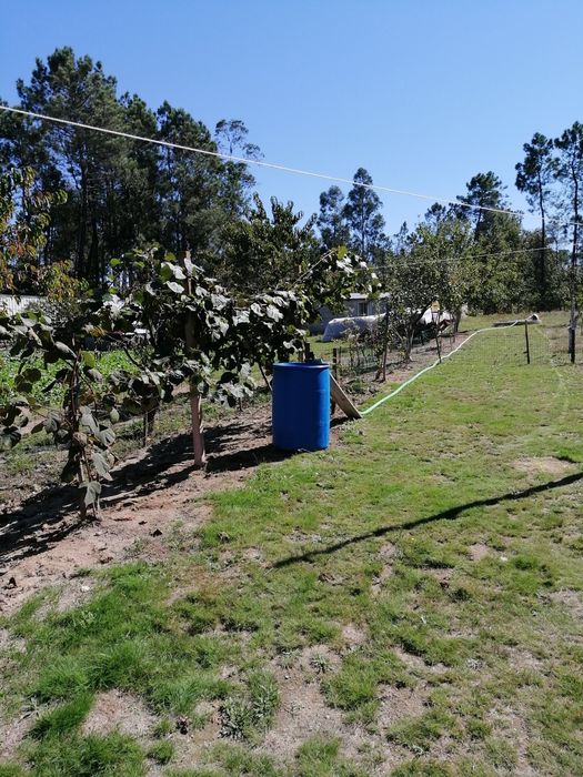 Terreno urbano com casa móvel