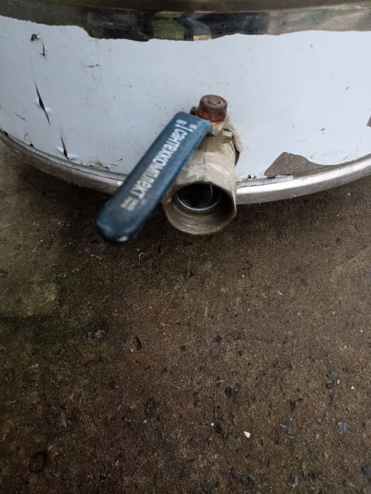 Медогонка Нержавіюча